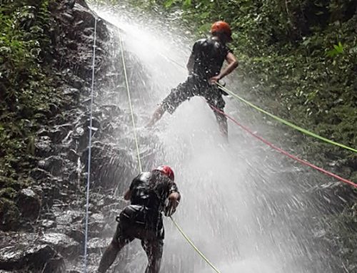 Aventura en el Bosque Nublado